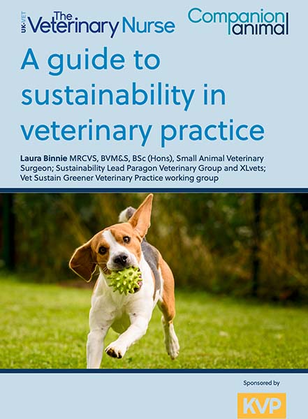 A guide to sustainability in veterinary practice